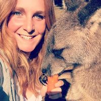 Photos de Claire Vandebeulque