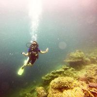 Trishla Patel的照片