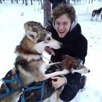 Le foto di Walter Veit