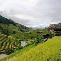 Fotos von Thao Ho Tapasii