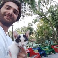 Yakup Toktay's Photo