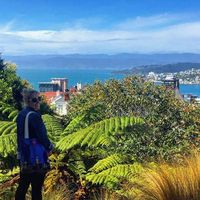 Katie Myrto的照片