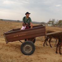 Jim  Thuring的照片