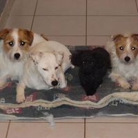 vincent perraud's Photo