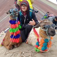 Klaus Schnorr的照片