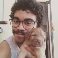 Фотографии пользователя Joao Pedro Lopes de Lima