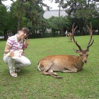 Monica Lucchese's Photo