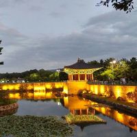 Фотографии пользователя Mi Mi