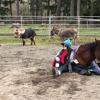 Photos de Forest Ember