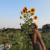 Clara Summers's Photo