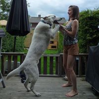 Rebekka Mauring's Photo