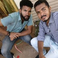 Fotos von Osman Desiss