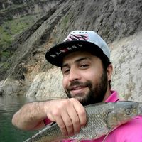 meysam safari's Photo