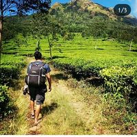 Ardiwae ardiwae's Photo