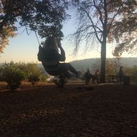 Paula Hannecke的照片