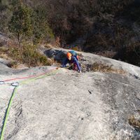 Shirley  Cotton's Photo