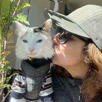 Ellie  Masoudi's Photo