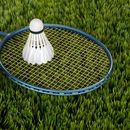 Weekend / Holiday Badminton @ Marathahalli的照片