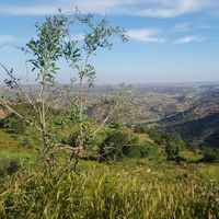 Rachid Ballagh's Photo