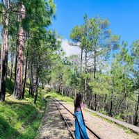 Pooja Choudhary的照片