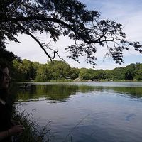 Marion Maestripieri's Photo