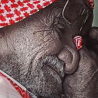 Photos de Sirajudheen Siraj