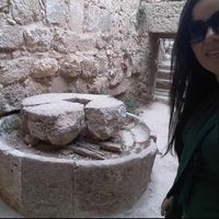 Acacia Acacia的照片