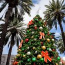 Christmas Celebration 's picture