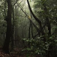 Le foto di Pedro  Bedmar Rodriguez