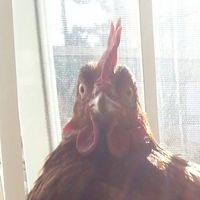 Michael Archambault's Photo