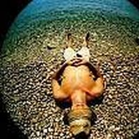 Marco  Dall'Olio的照片