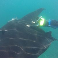 Fotos de Alec Cooper