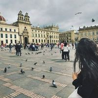 Fernanda Gentile的照片