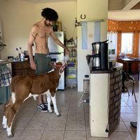 Pablo Nicolás Ortiz Poggi's Photo