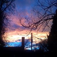 Michelle Kirk的照片