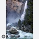 Yosemite And Mammoth 's picture