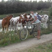 Francisco Henriques's Photo